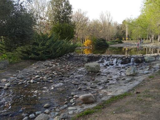 عکس جنگل های هیرکانی