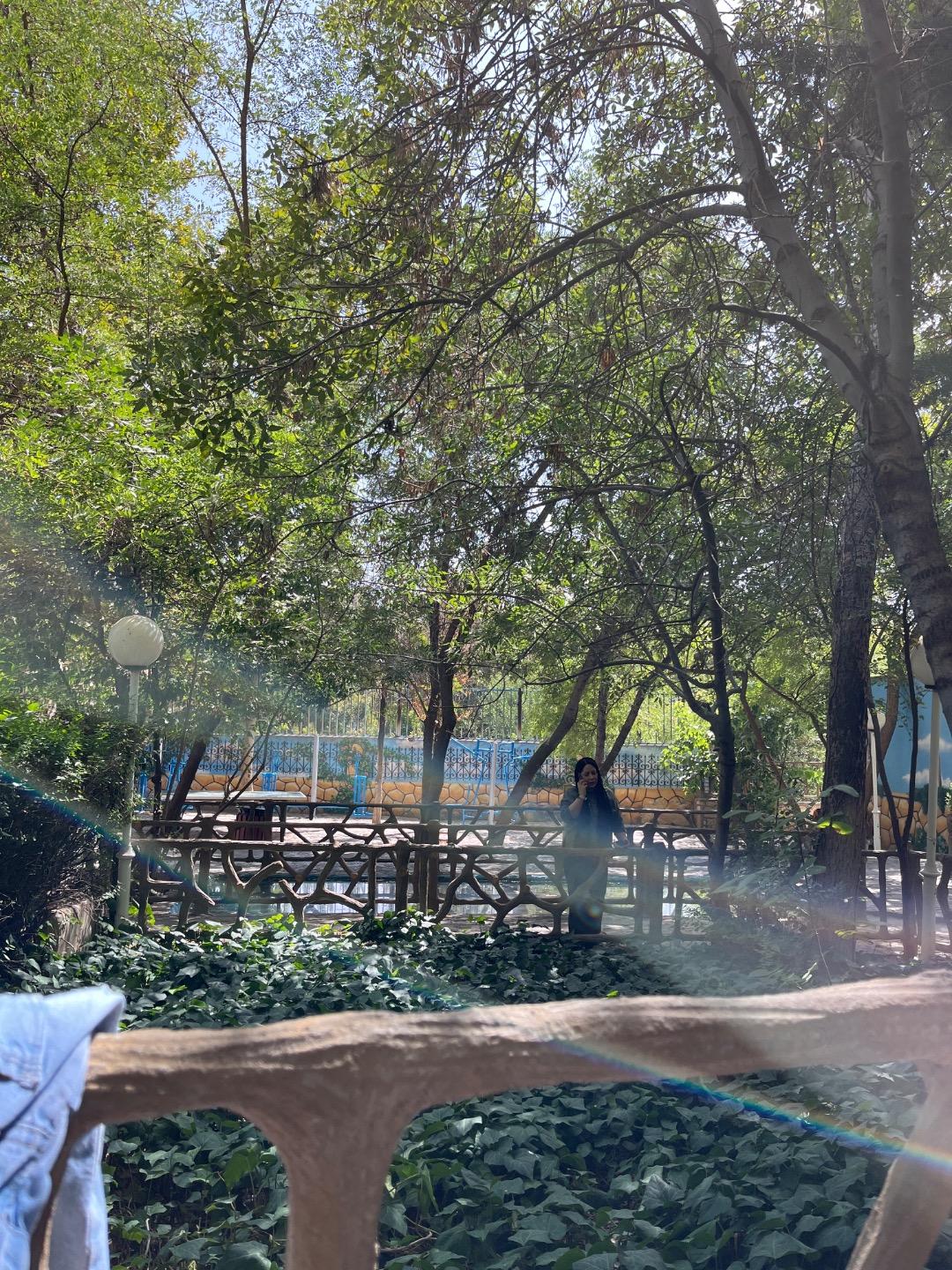 عکس پارک جنگلی بهمن