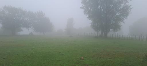 عکس فیروزآباد