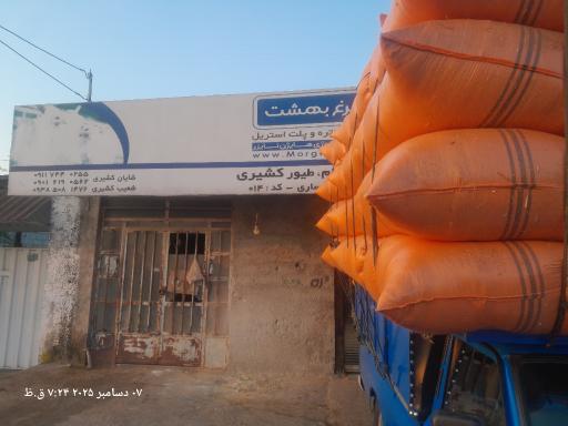 عکس خوراک دام و طیور کشیری