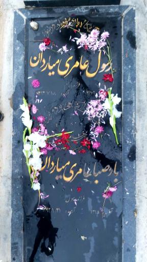 عکس بادصبا عامری میاردان