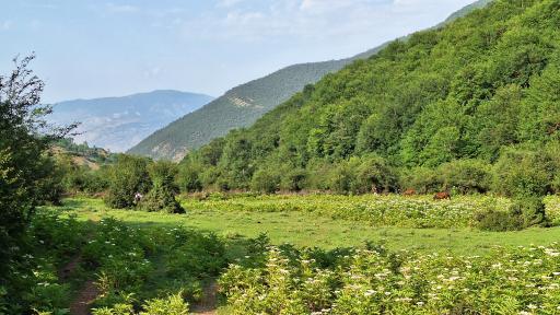 عکس فیروزآباد