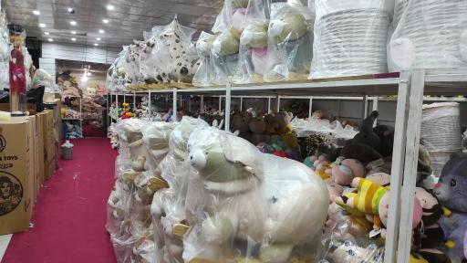 عکس پخش سیسمونی قائم