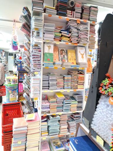 شهر تحریر آمل مدرسی