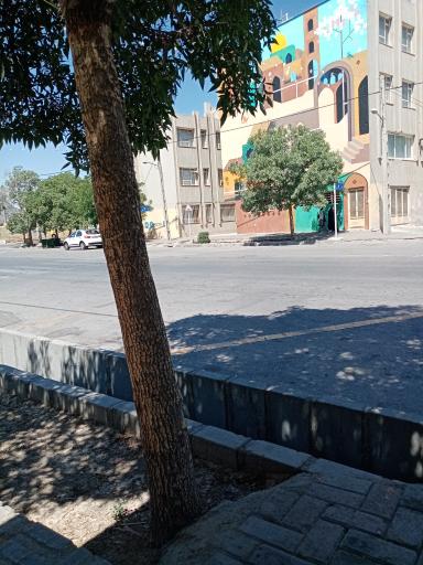 عکس  مصلی 30/3