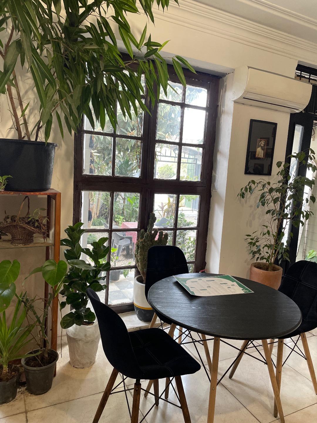 عکس کافه درختی