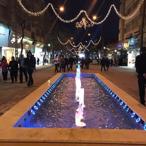 عکس سنگ فرش ولیعصر 