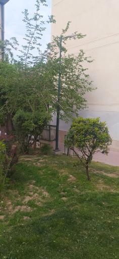 عکس بوستان شمس آباد