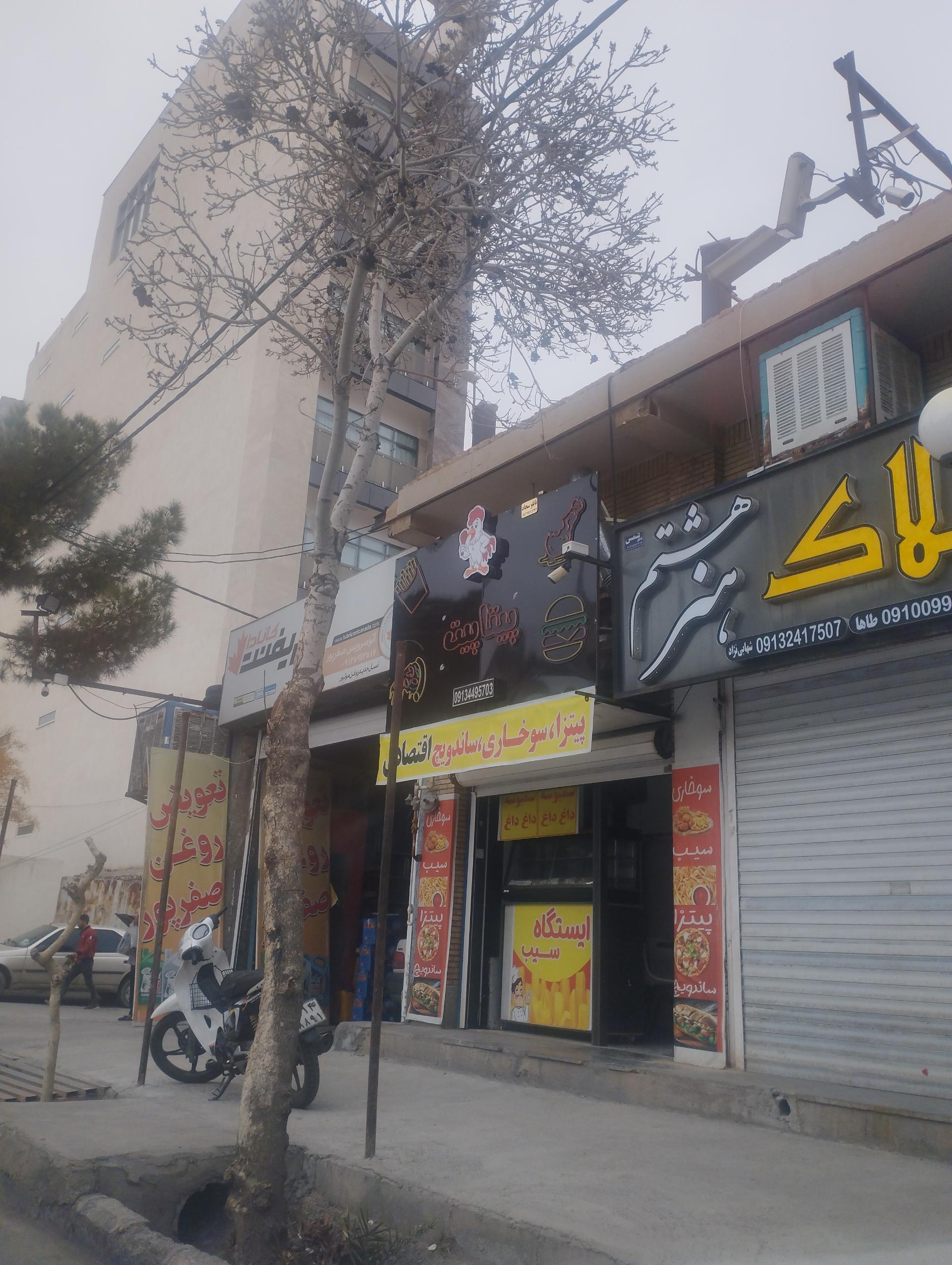 عکس فست فود پیتاپیت