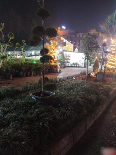 عکس شهر گل رشت