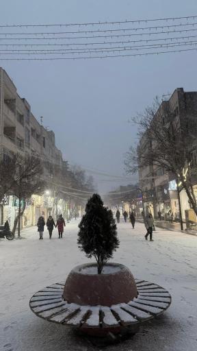 عکس سنگ فرش ولیعصر 