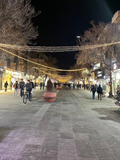 عکس سنگ فرش ولیعصر 