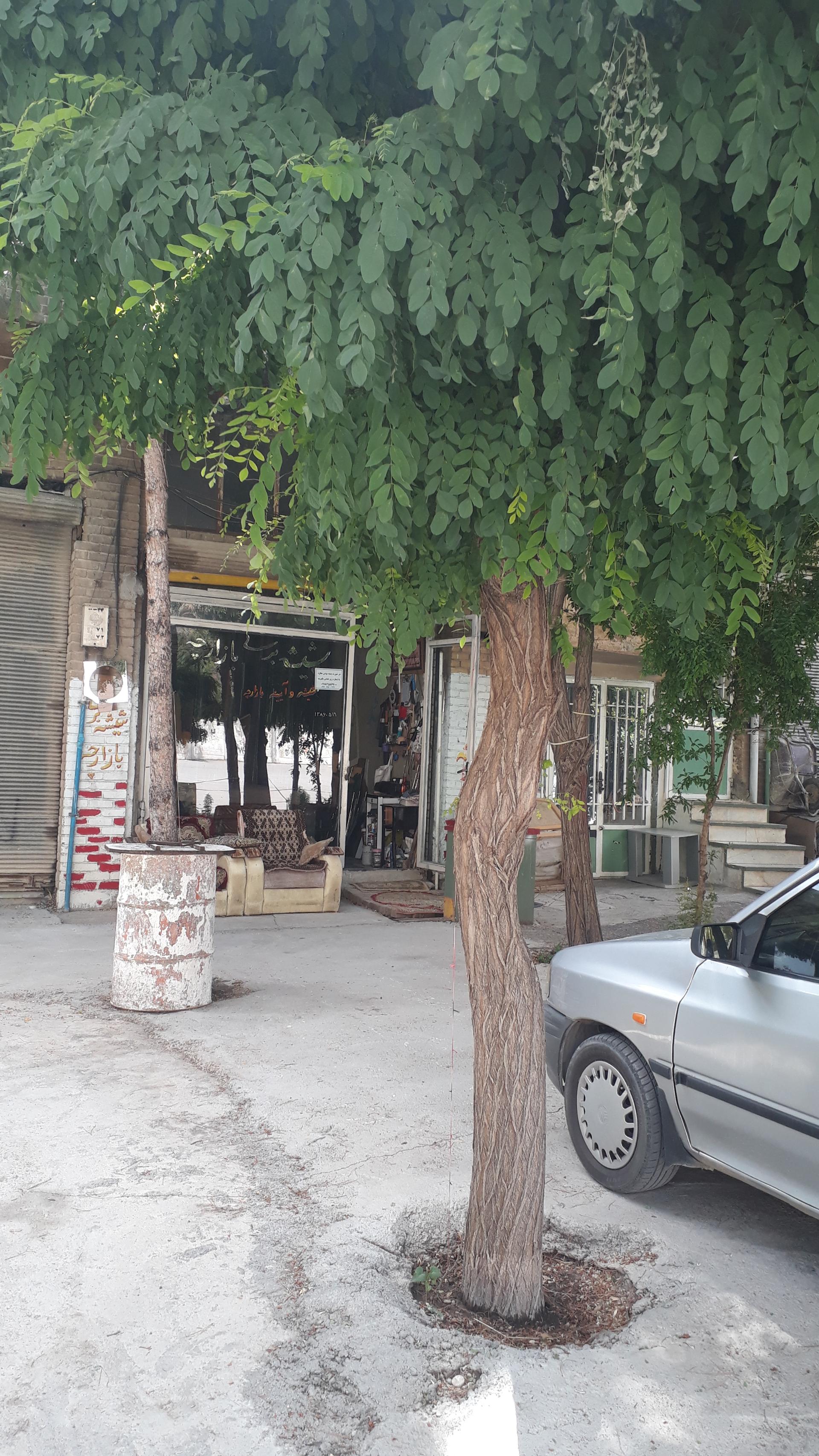 عکس شیشه بری بازارچه