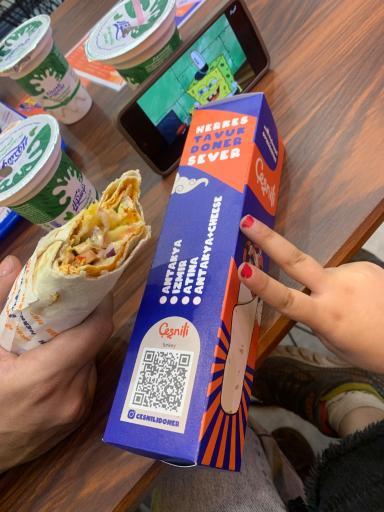 عکس دونر ترکی چشنیلی