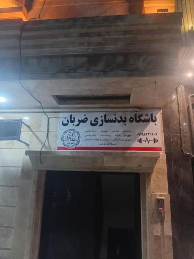 عکس باشگاه بدنسازی ضربان