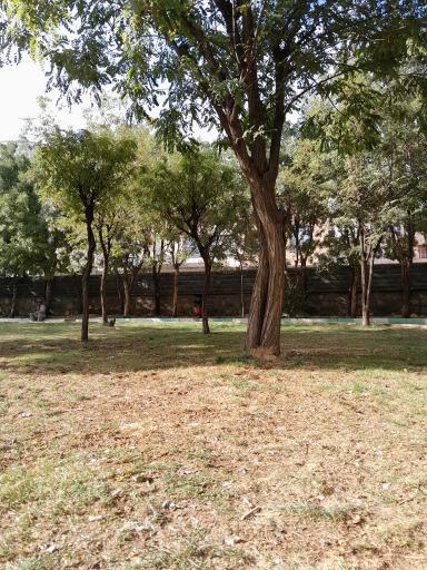 عکس پارک توحید