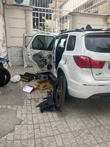 دزدگیر مسعود ژیانی