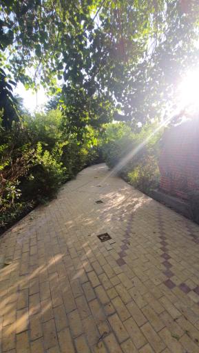 عکس مجتمع گردشگری باغ میرزا