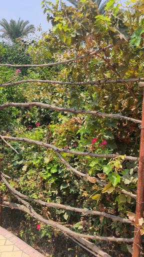 عکس مجتمع گردشگری باغ میرزا