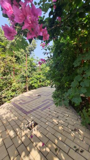 عکس مجتمع گردشگری باغ میرزا