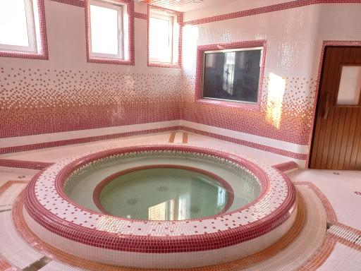 عکس استخر آیت الله رئیسی 