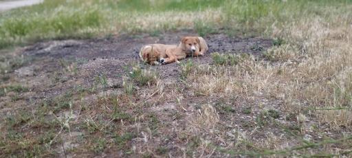 عکس پارک و فضای سبز