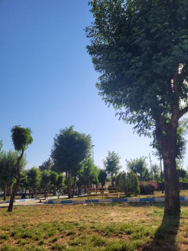 عکس پارک توحید