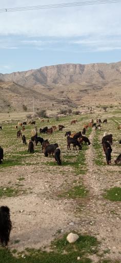 عکس مبارک آباد