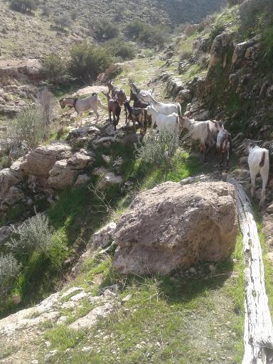 عکس مبارک آباد