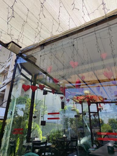 عکس پیتزا دانژه