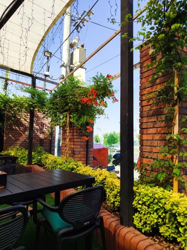 عکس پیتزا دانژه