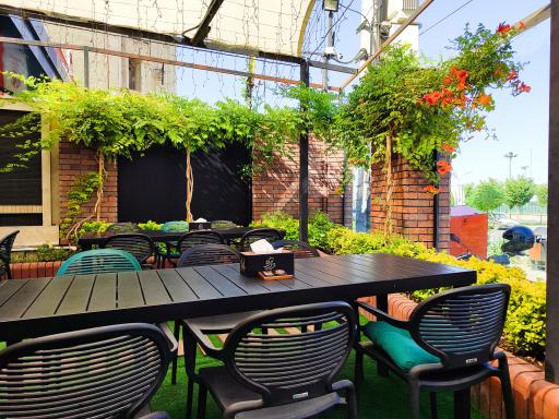 عکس پیتزا دانژه