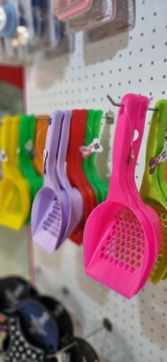 عکس پلی کلینیک دامپزشکی حیوانات خانگی آرتا