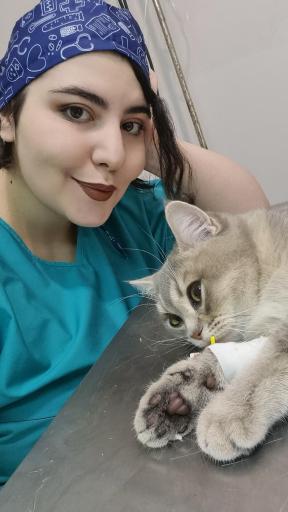 عکس پلی کلینیک دامپزشکی حیوانات خانگی آرتا