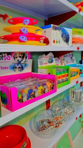 پلی کلینیک دامپزشکی حیوانات خانگی آرتا