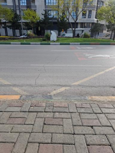 عکس  امیریه 31