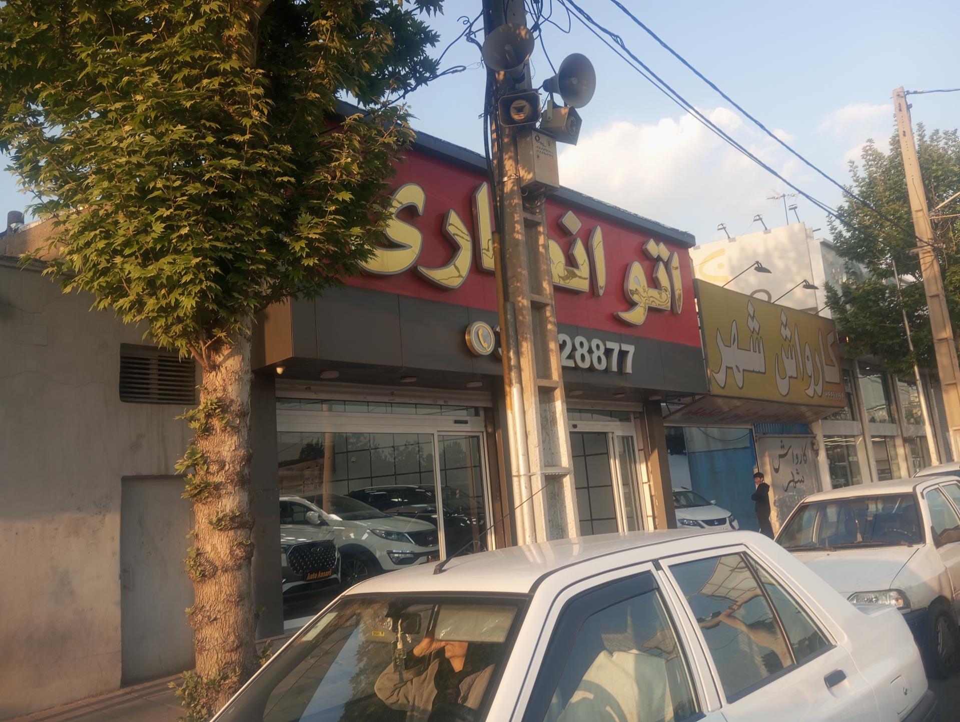 عکس اتو انصاری