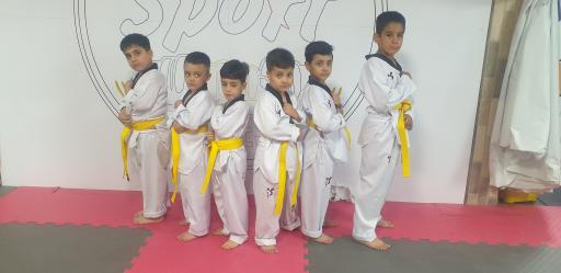 آکادمی تکواندو امیر ابوحمزه