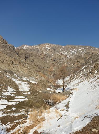 عکس دره ولنجک