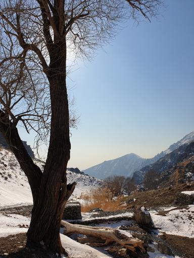 عکس دره ولنجک