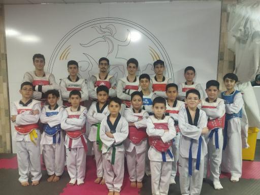 عکس آکادمی تکواندو امیر ابوحمزه