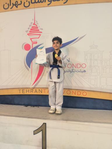 عکس آکادمی تکواندو امیر ابوحمزه
