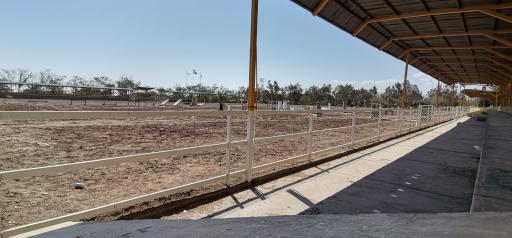 عکس مانژ سوارکاری