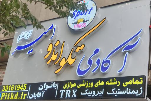 آکادمی تکواندو امیر ابوحمزه