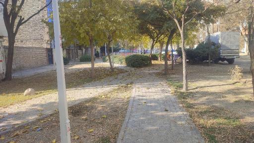عکس بوستان زیتون
