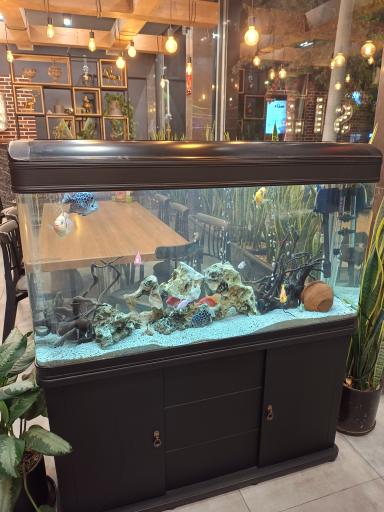 عکس پیتزا سیب ۳۶۰