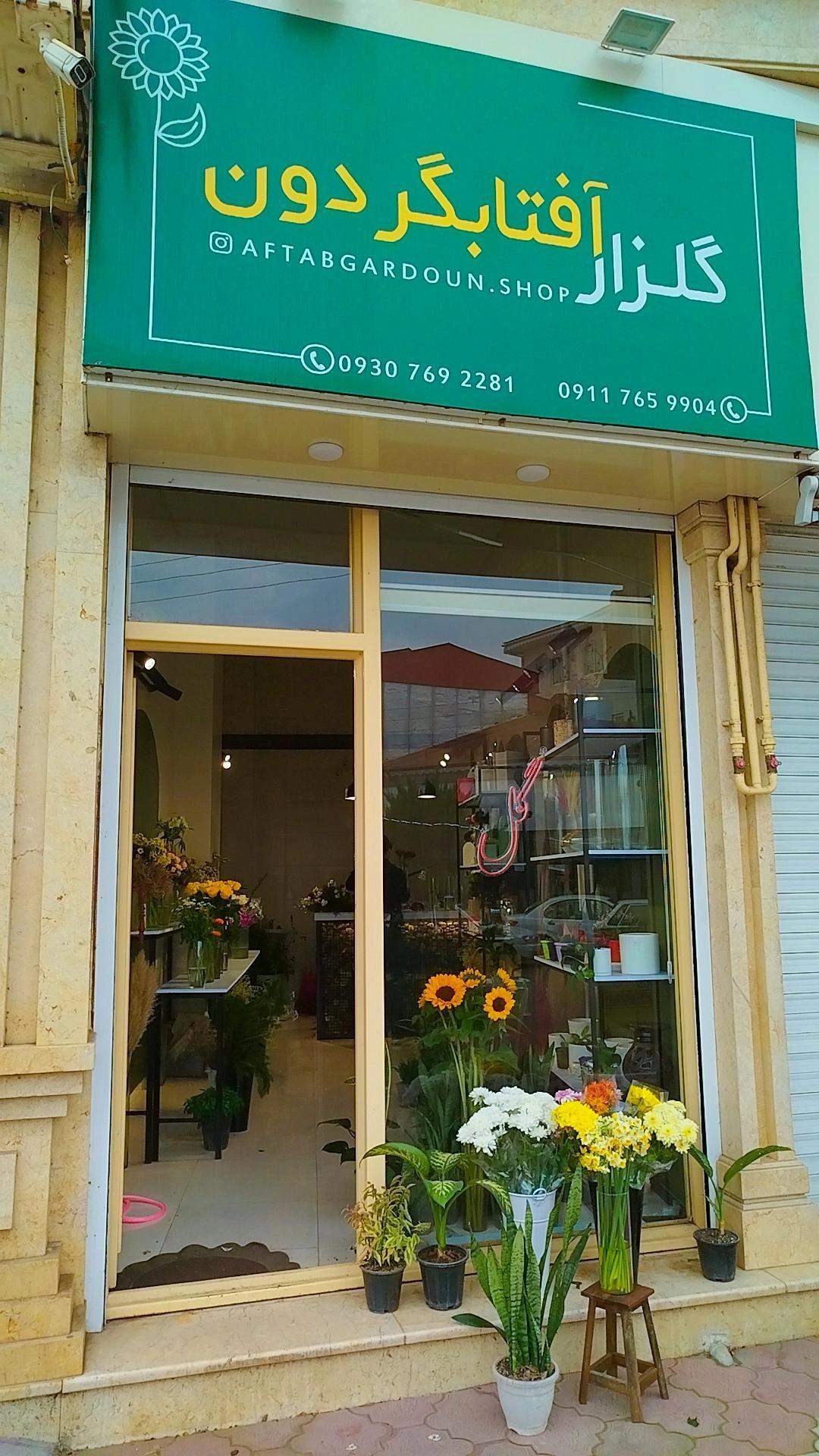 عکس گلزار آفتابگردون 