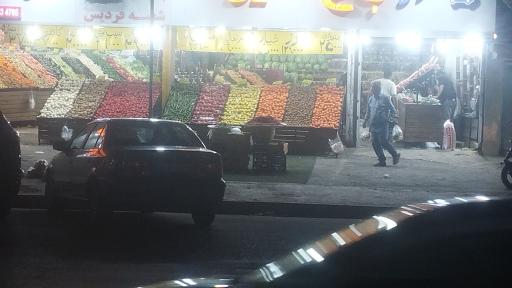 عکس باغ میوه کاج