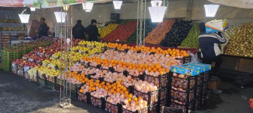 عکس باغ میوه کاج