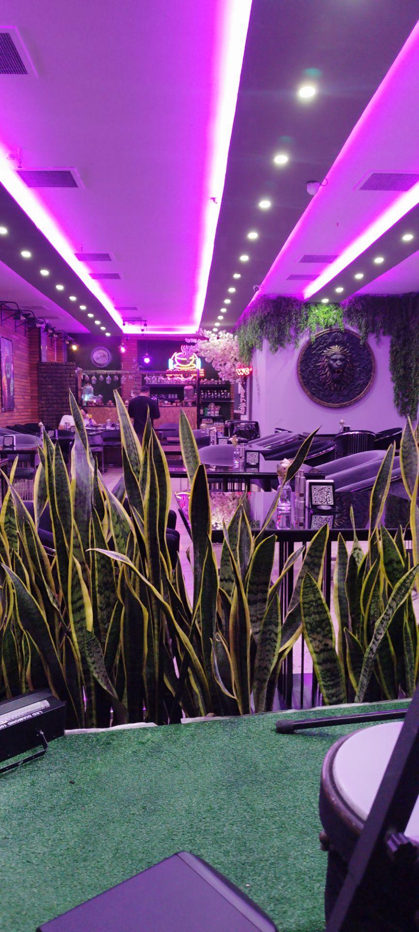 عکس رستوران لحظه